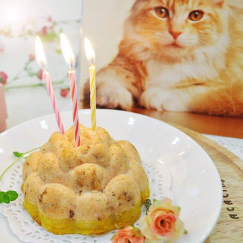 기호성좋은 고양이케이크~강아지케이크~플라워 연어 케이크(자연산연어)